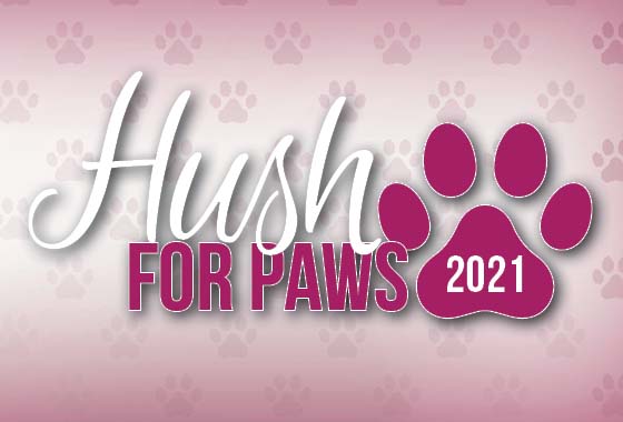 Hush For Paws Donations Return for Hush Lash Studio's 10th Anniversary!